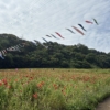 Thumbnail of related posts 152