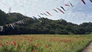 Thumbnail of post image 032